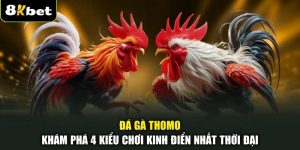 Đá Gà Thomo - Khám Phá 4 Kiểu Chơi Kinh Điển Nhất Thời Đại
